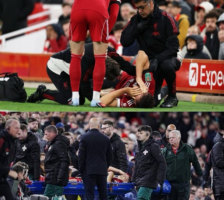 深度利物浦并非转会之神 苦难赛季凸显失败案例 深度利物浦并非转会之神 苦难赛季凸显失败案例