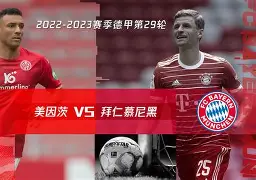 拜仁慕尼黑精选经纪人